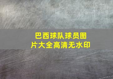 巴西球队球员图片大全高清无水印