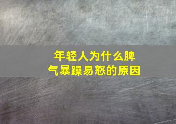 年轻人为什么脾气暴躁易怒的原因