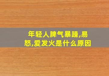 年轻人脾气暴躁,易怒,爱发火是什么原因