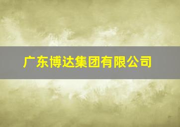 广东博达集团有限公司