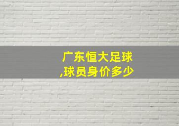 广东恒大足球,球员身价多少