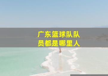 广东篮球队队员都是哪里人