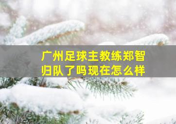 广州足球主教练郑智归队了吗现在怎么样