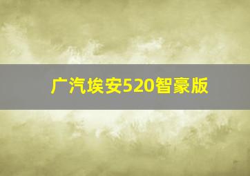 广汽埃安520智豪版