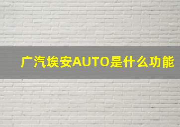 广汽埃安AUTO是什么功能