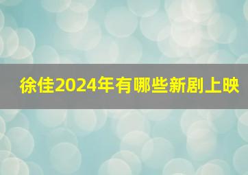 徐佳2024年有哪些新剧上映