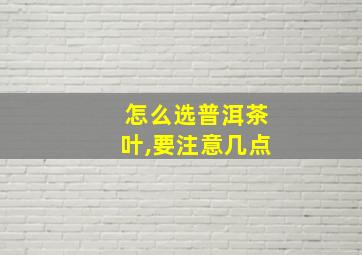 怎么选普洱茶叶,要注意几点