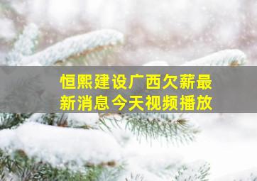 恒熙建设广西欠薪最新消息今天视频播放