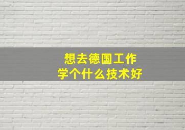 想去德国工作学个什么技术好