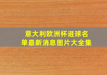 意大利欧洲杯进球名单最新消息图片大全集