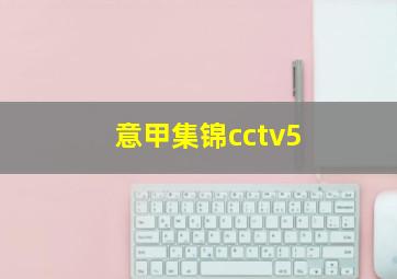 意甲集锦cctv5