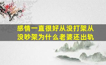 感情一直很好从没打架从没吵架为什么老婆还出轨