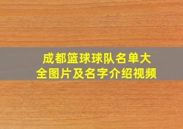 成都篮球球队名单大全图片及名字介绍视频