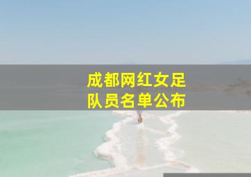 成都网红女足队员名单公布