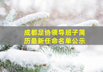 成都足协领导班子简历最新任命名单公示