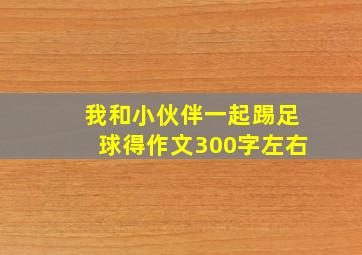 我和小伙伴一起踢足球得作文300字左右