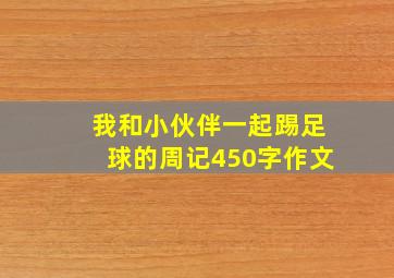 我和小伙伴一起踢足球的周记450字作文