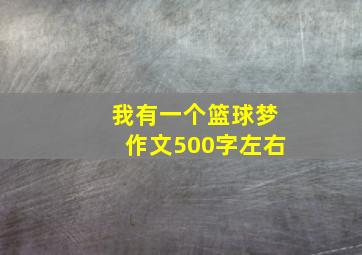 我有一个篮球梦作文500字左右