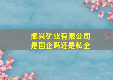 振兴矿业有限公司是国企吗还是私企