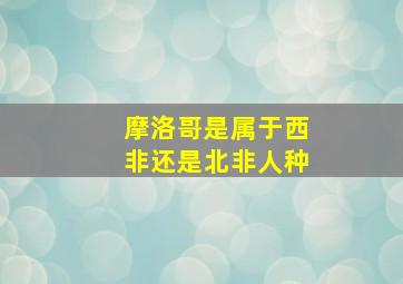 摩洛哥是属于西非还是北非人种