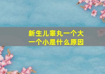 新生儿睾丸一个大一个小是什么原因