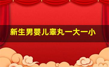 新生男婴儿睾丸一大一小