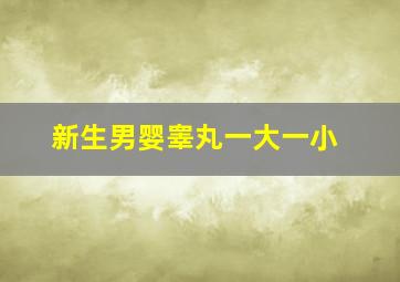 新生男婴睾丸一大一小