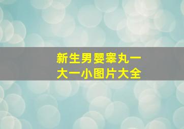 新生男婴睾丸一大一小图片大全