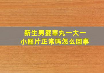 新生男婴睾丸一大一小图片正常吗怎么回事