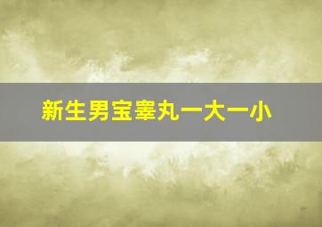 新生男宝睾丸一大一小