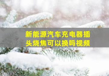 新能源汽车充电器插头烧焦可以换吗视频