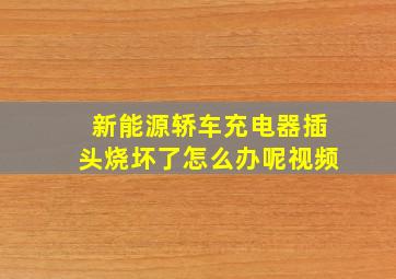 新能源轿车充电器插头烧坏了怎么办呢视频