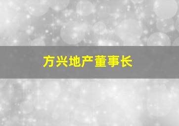 方兴地产董事长