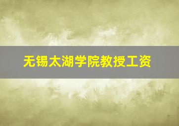 无锡太湖学院教授工资