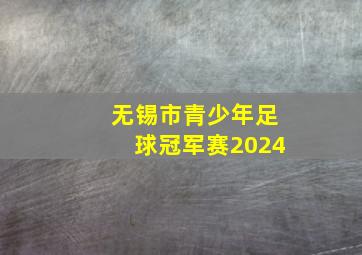 无锡市青少年足球冠军赛2024