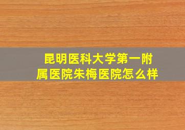 昆明医科大学第一附属医院朱梅医院怎么样