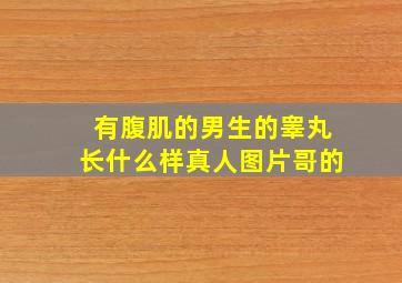 有腹肌的男生的睾丸长什么样真人图片哥的