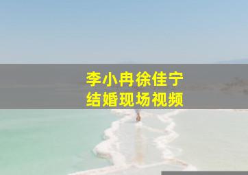 李小冉徐佳宁结婚现场视频