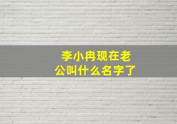 李小冉现在老公叫什么名字了