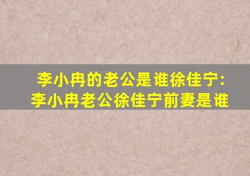 李小冉的老公是谁徐佳宁:李小冉老公徐佳宁前妻是谁