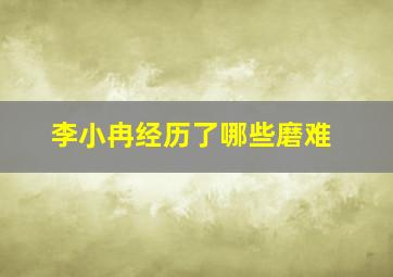 李小冉经历了哪些磨难