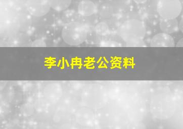 李小冉老公资料