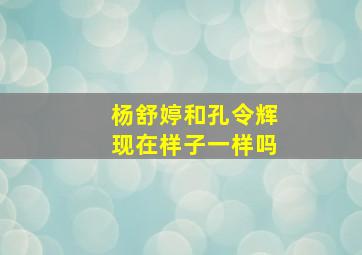 杨舒婷和孔令辉现在样子一样吗