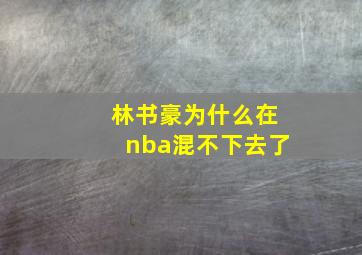 林书豪为什么在nba混不下去了