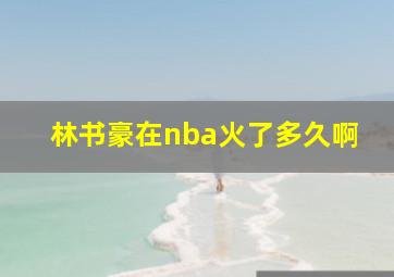 林书豪在nba火了多久啊