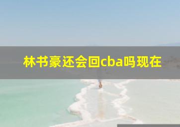 林书豪还会回cba吗现在