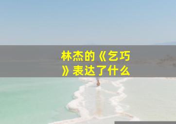 林杰的《乞巧》表达了什么