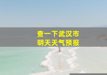 查一下武汉市明天天气预报