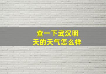 查一下武汉明天的天气怎么样