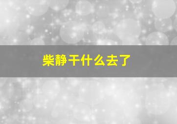 柴静干什么去了